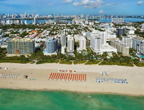 Bring these businesses to Royal Palm